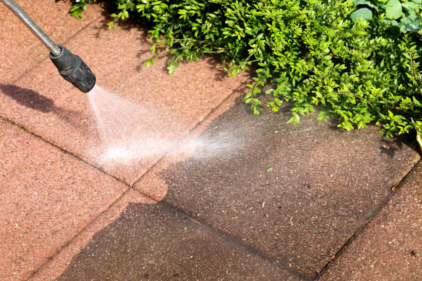 Roof Power Washing Services in Blaine, WA